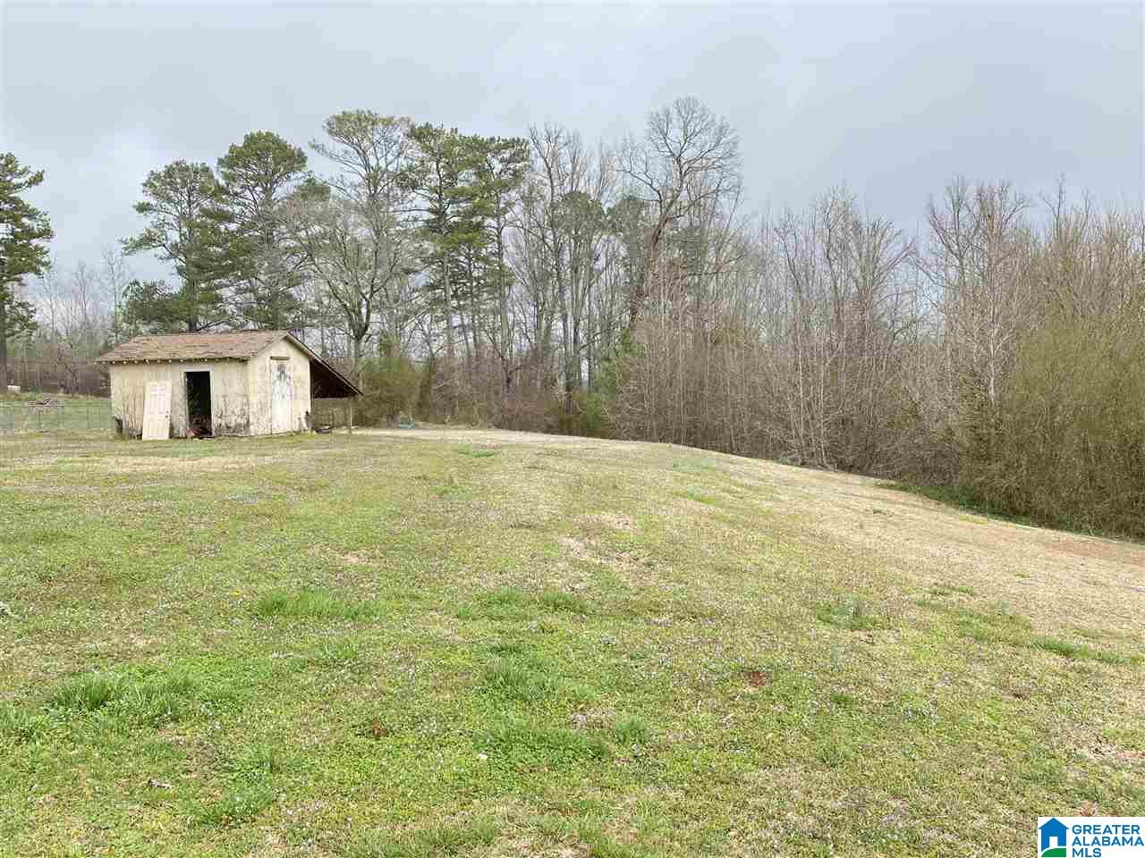 659 Maddox Farm Road Odenville, AL 35120 - Photo 9 of 41