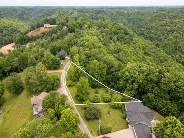 an aerial view of a house with a garden