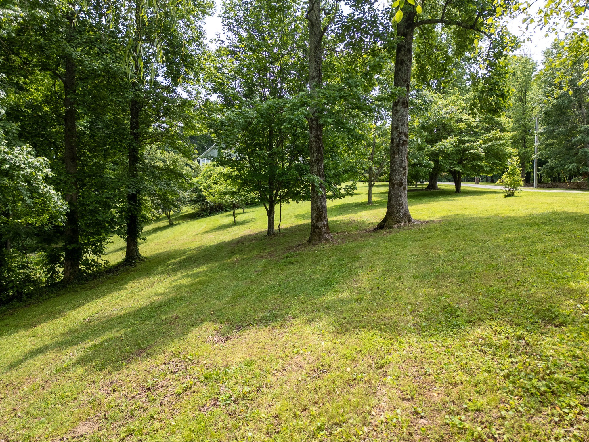 0 Lafever Ridge Road Silver Point, TN 38582 - Photo 5 of 13 a view of a trees with a yard