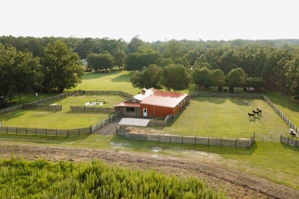 207 Kemp Road Climax, GA 39834 - Photo 27 of 49 Gallery Image 27
