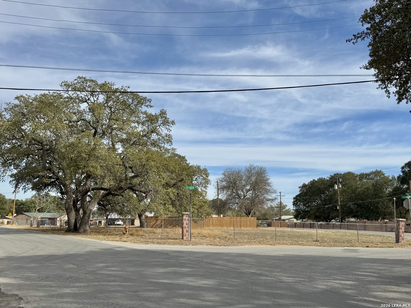 0 Washington Devine, TX 78016 - Photo 4 of 7