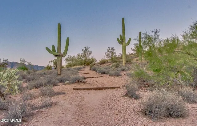 $895,000 | 4232 South Alamandas Way, Gold Canyon, AZ 85118