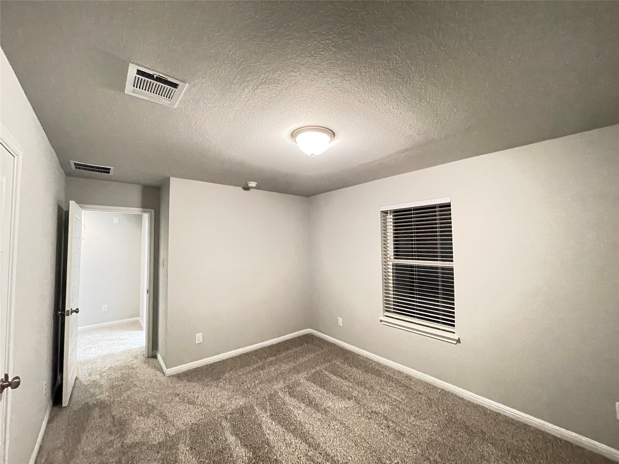 316 Mclintock Road Jarrell, TX 76537 - Photo 24 of 40 an empty room with windows and closet