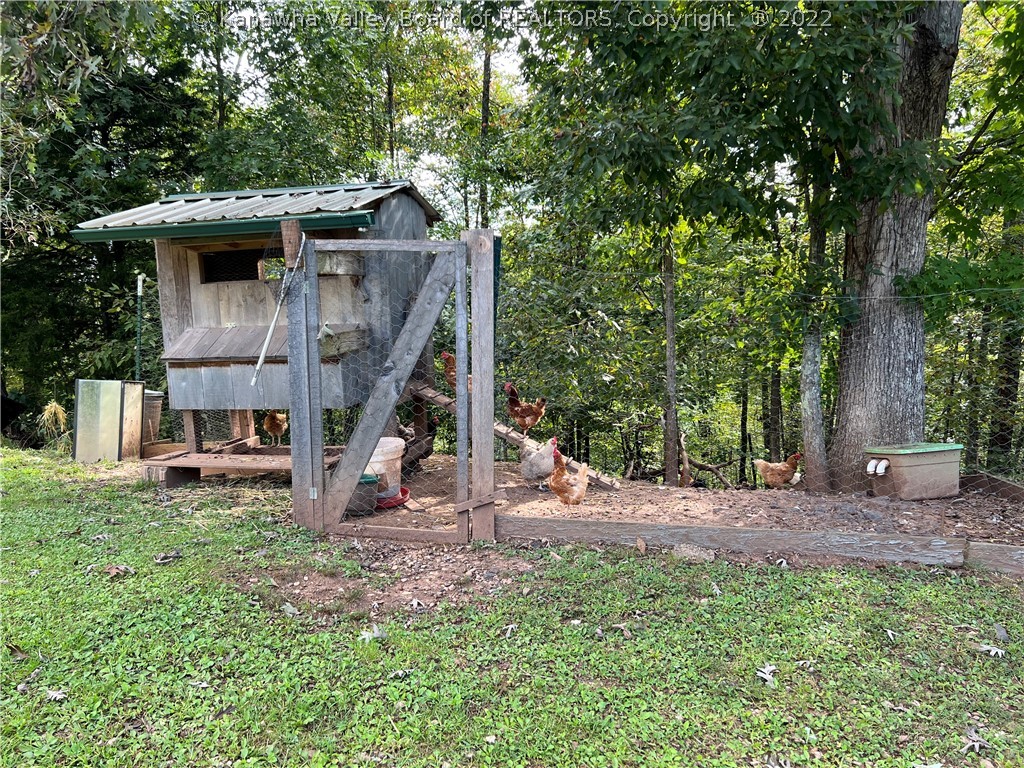 397 Bear Fork Road Yawkey, WV 25573 - Photo 34 of 46 Chicken Coop