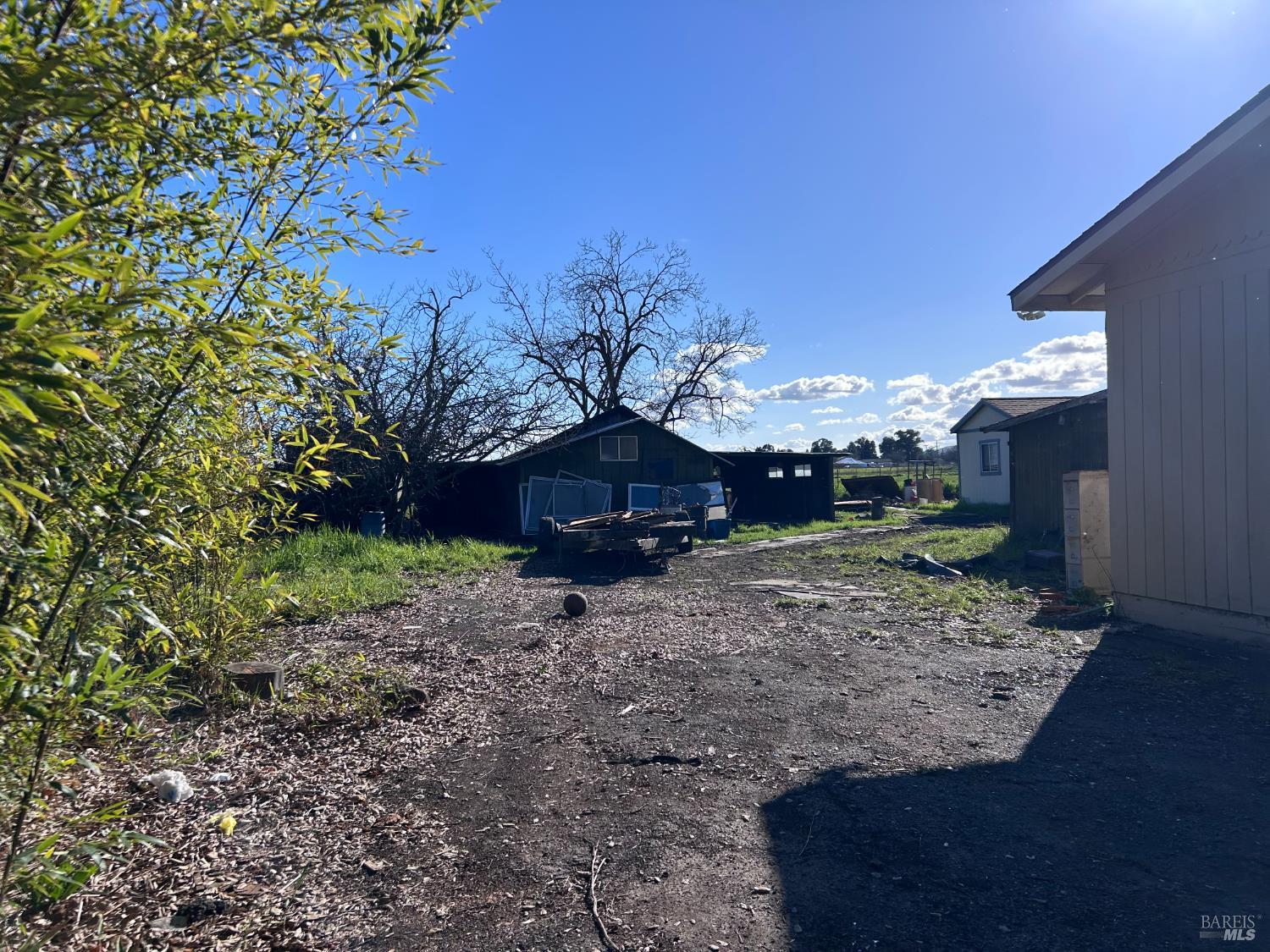 1005 Poplar Road Vacaville, CA 95687 - Photo 5 of 17 a view of a backyard