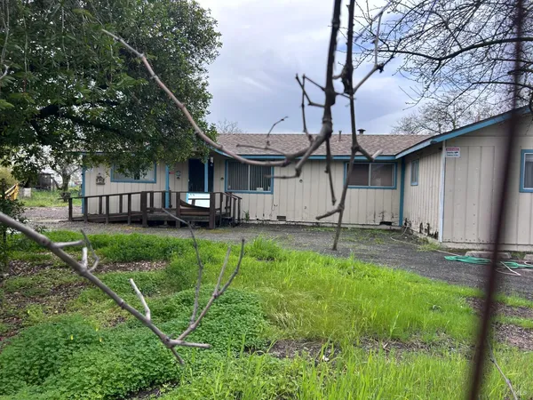 a view of a house with backyard and a tree
