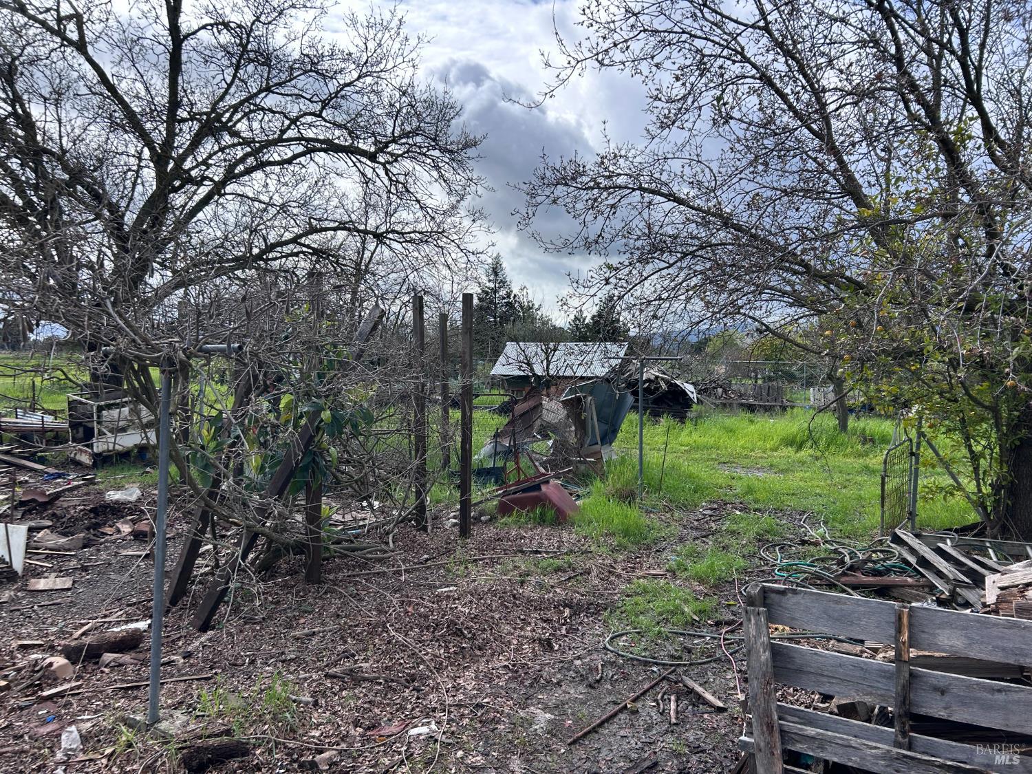 1005 Poplar Road Vacaville, CA 95687 - Photo 7 of 17 a view of a park with large trees