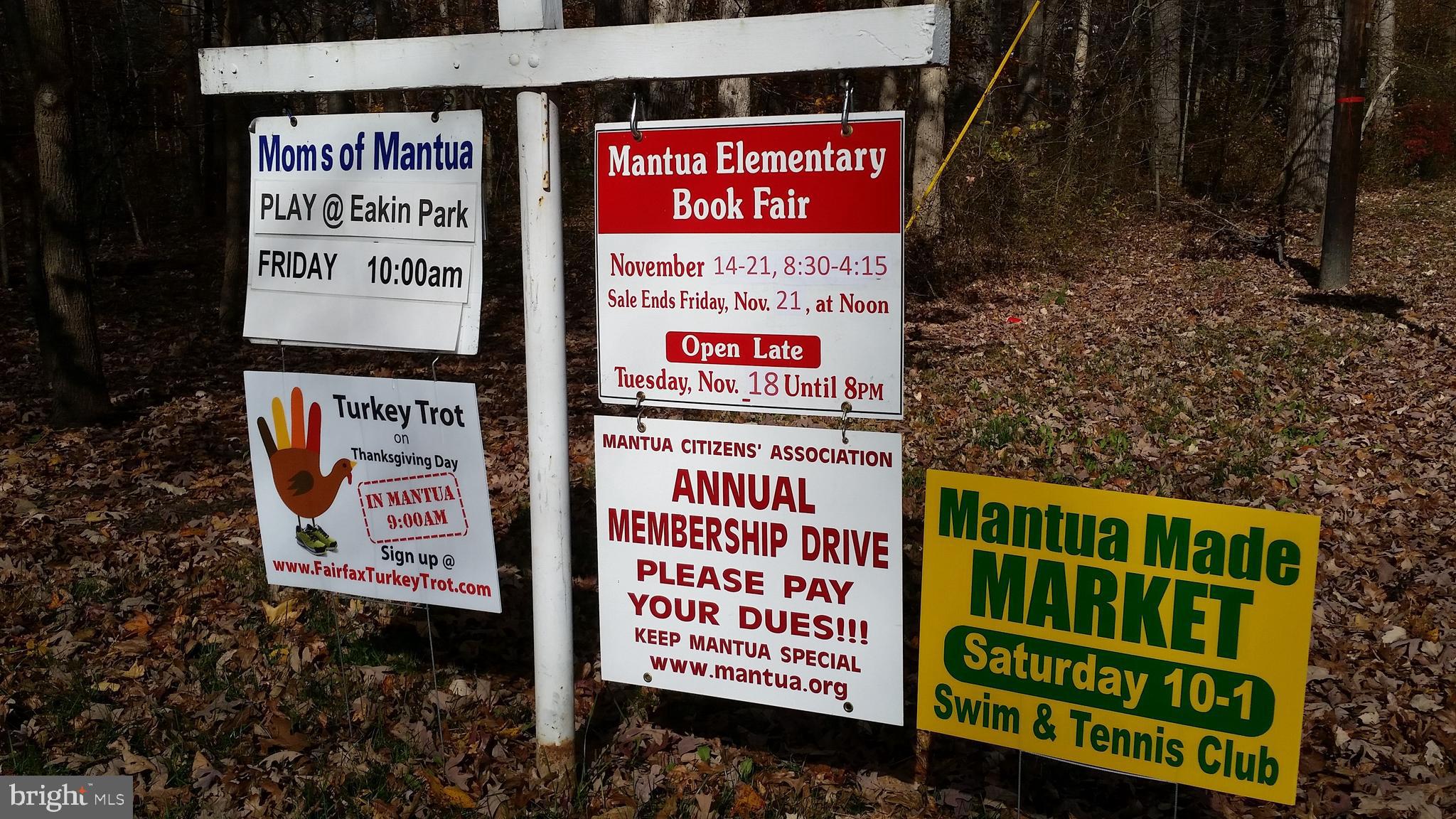 9348 Tovito Drive Fairfax, VA 22031 - Photo 26 of 31 Many community activities