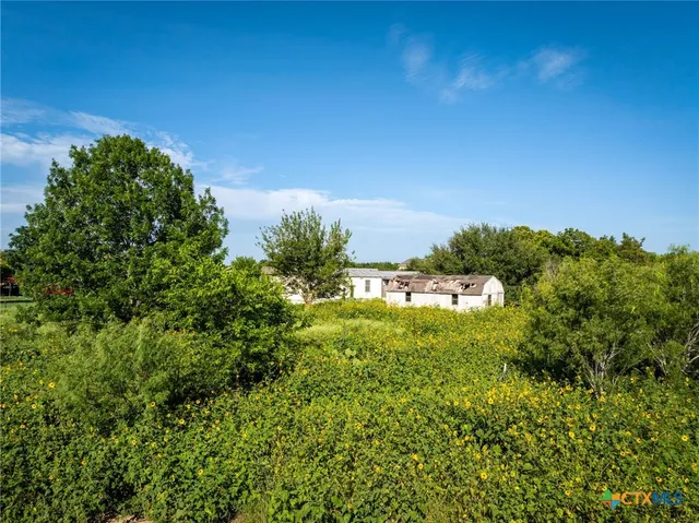 a view of a field of grass and trees