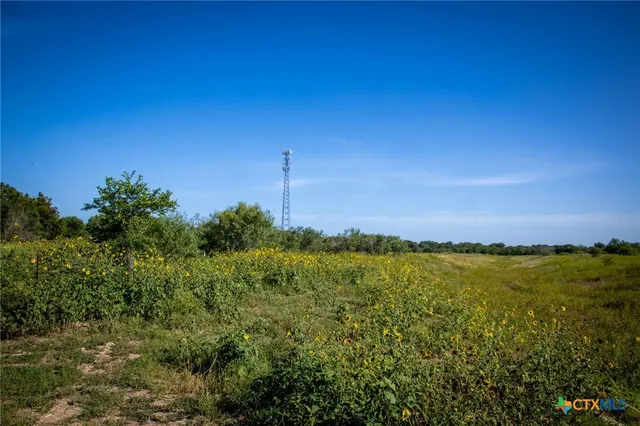 a view of a yard with an ocean and trees