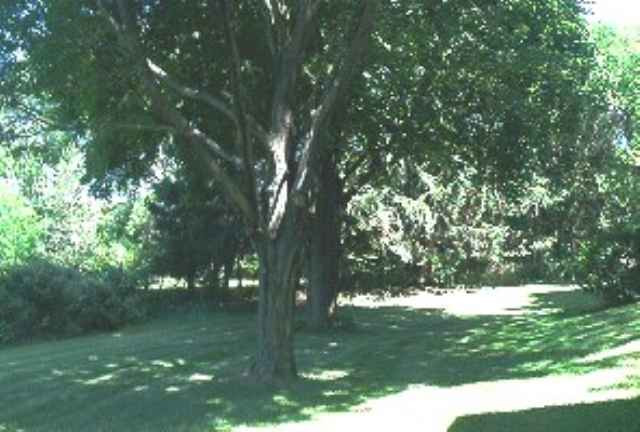 8 County View Road Colonie, NY 12110 - Photo 8 of 10 Photo 8