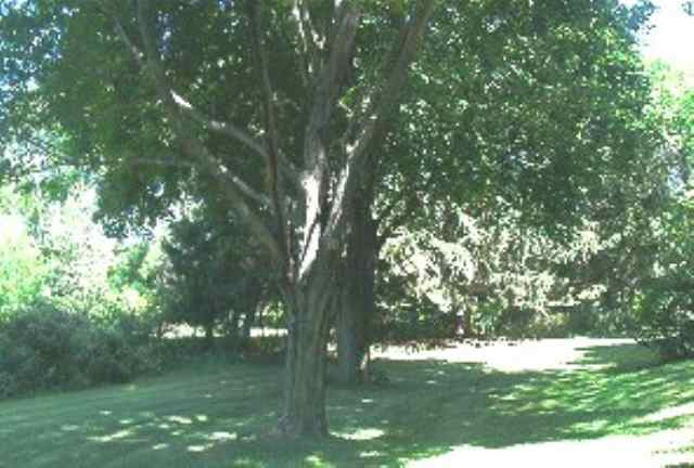 8 County View Road Colonie, NY 12110 - Photo 9 of 10 Photo 9