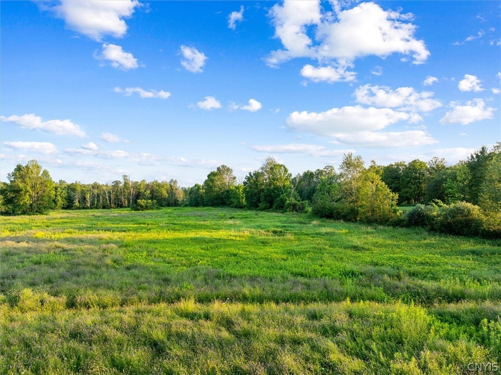 8246 Edwards Road Rome, NY 13440 - Photo 4 of 50 Gallery Image 4