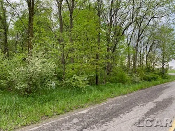 $42,000 | 8000-blk Lot 10 Stephenson Road, Onsted, MI 49265