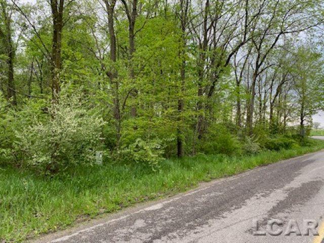 8000 Stephenson Road Onsted, MI 49265 - Photo 3 of 3