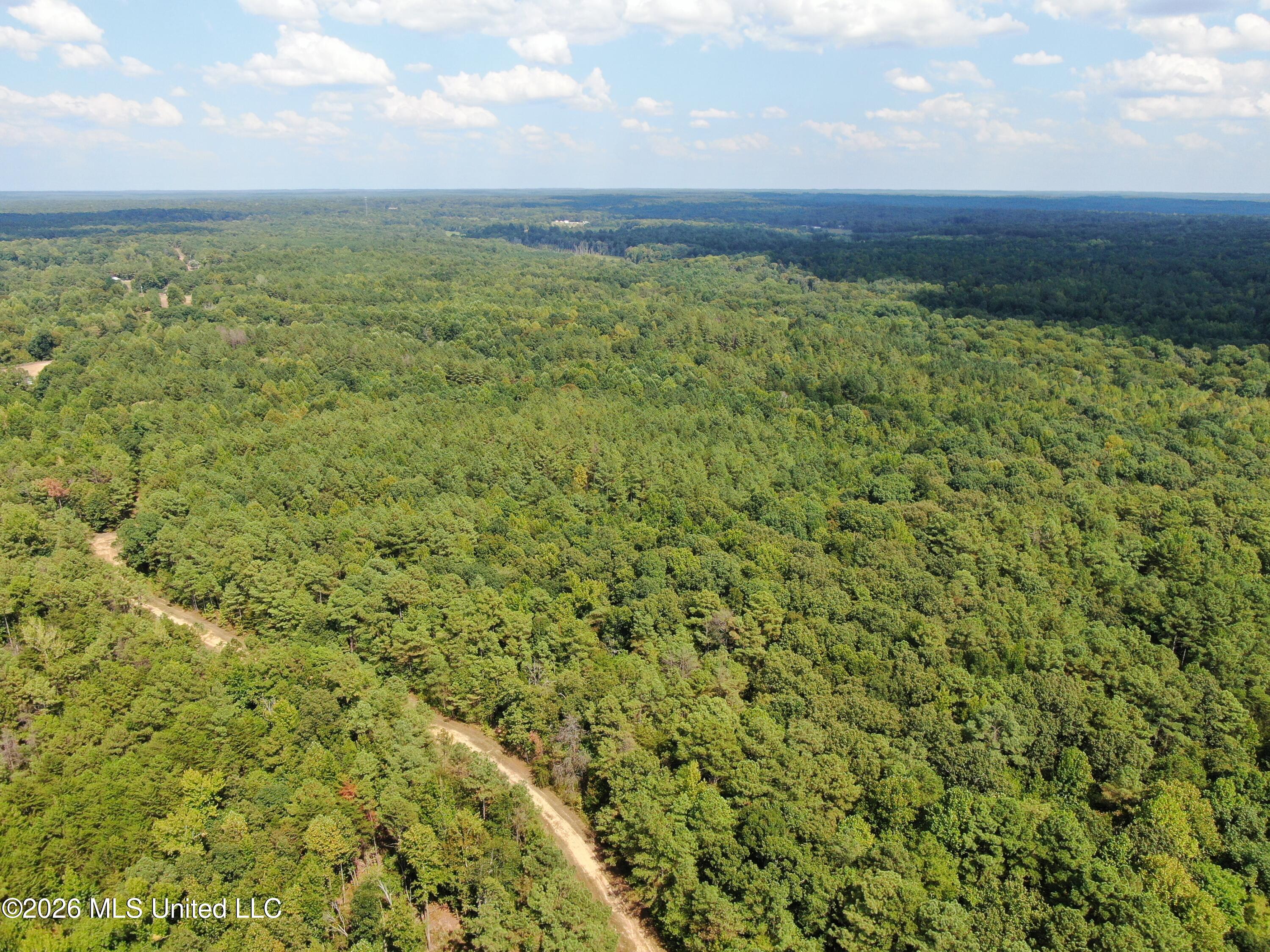 700 Front Road Toone, TN 38381 - Photo 2 of 31 DJI_0135