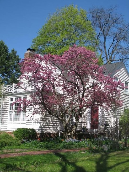 405 North Ashland Avenue Park Ridge, IL 60068 - Photo 5 of 30 a view of a house with a yard