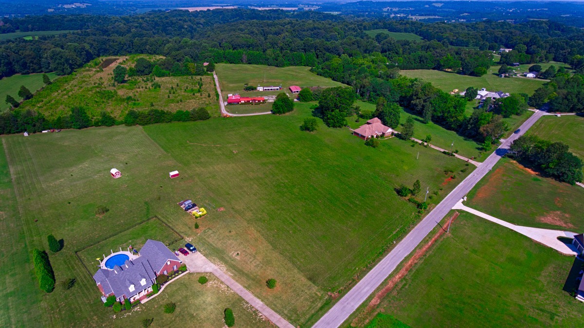 32079 Ardmore Ridge Road Ardmore, TN 38449 - Photo 2 of 7 a view of yard