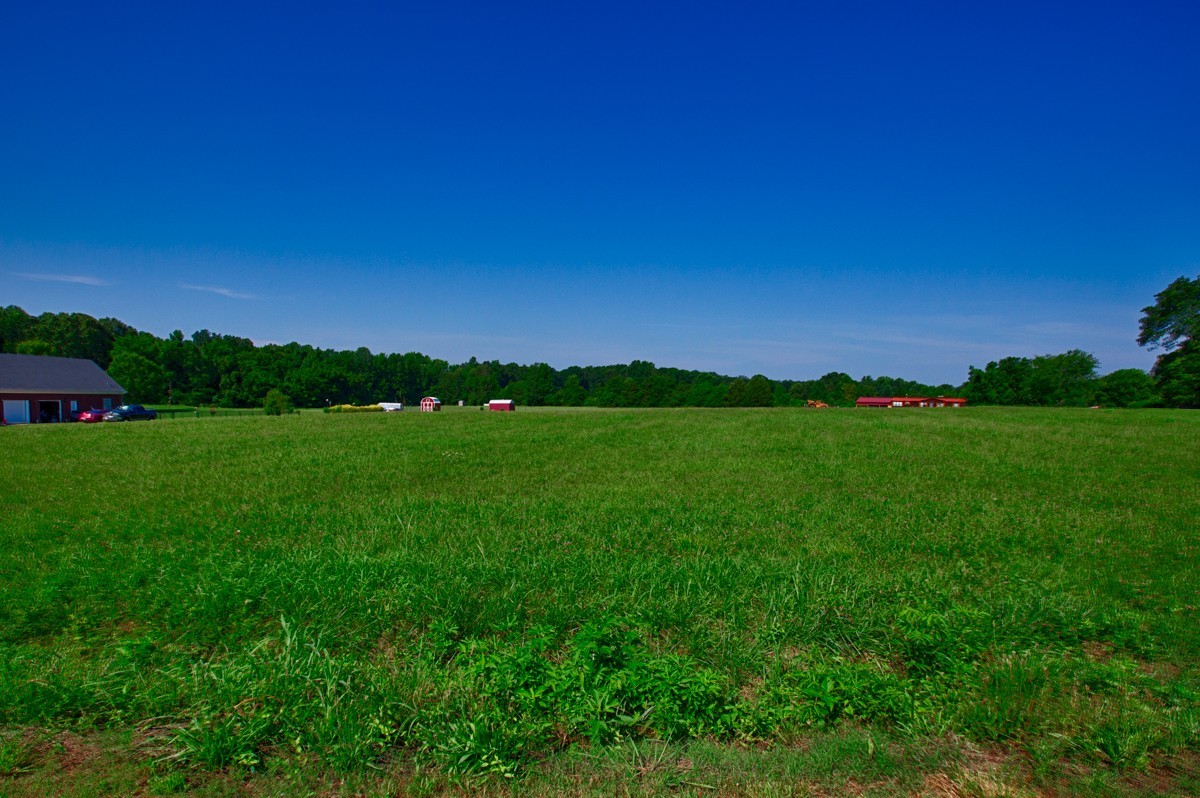 32079 Ardmore Ridge Road Ardmore, TN 38449 - Photo 3 of 7 a view of a grassy field with trees