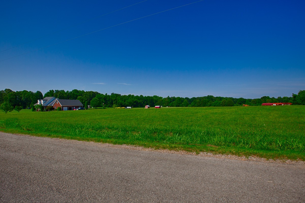 32079 Ardmore Ridge Road Ardmore, TN 38449 - Photo 4 of 7 a view of a field with grass and trees