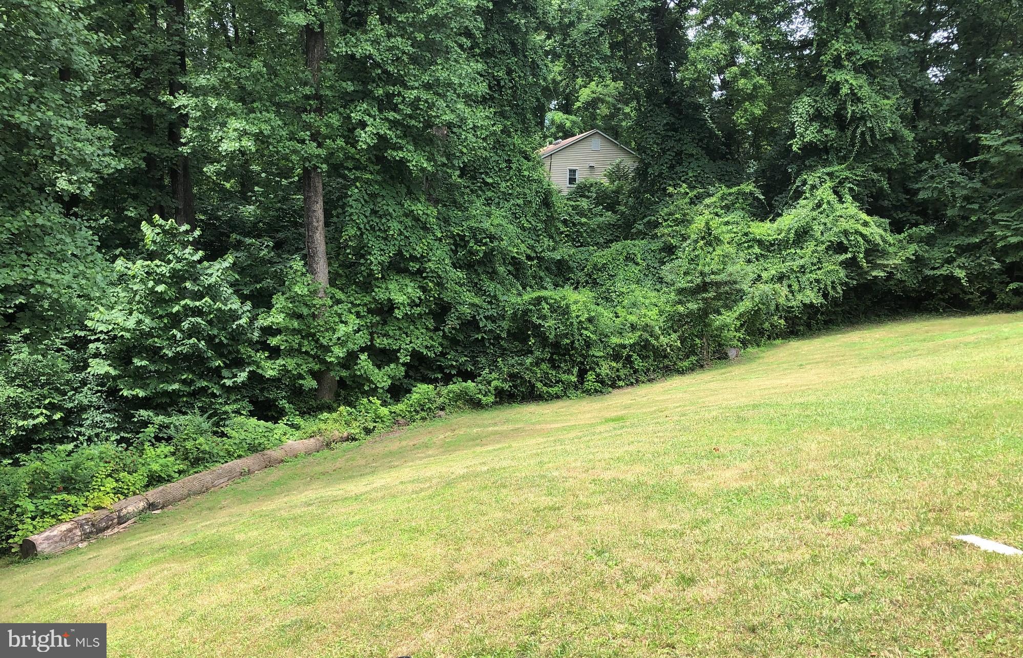4350 Dalrymple Road Chesapeake Beach, MD 20732 - Photo 15 of 15 a view of a yard with a tree
