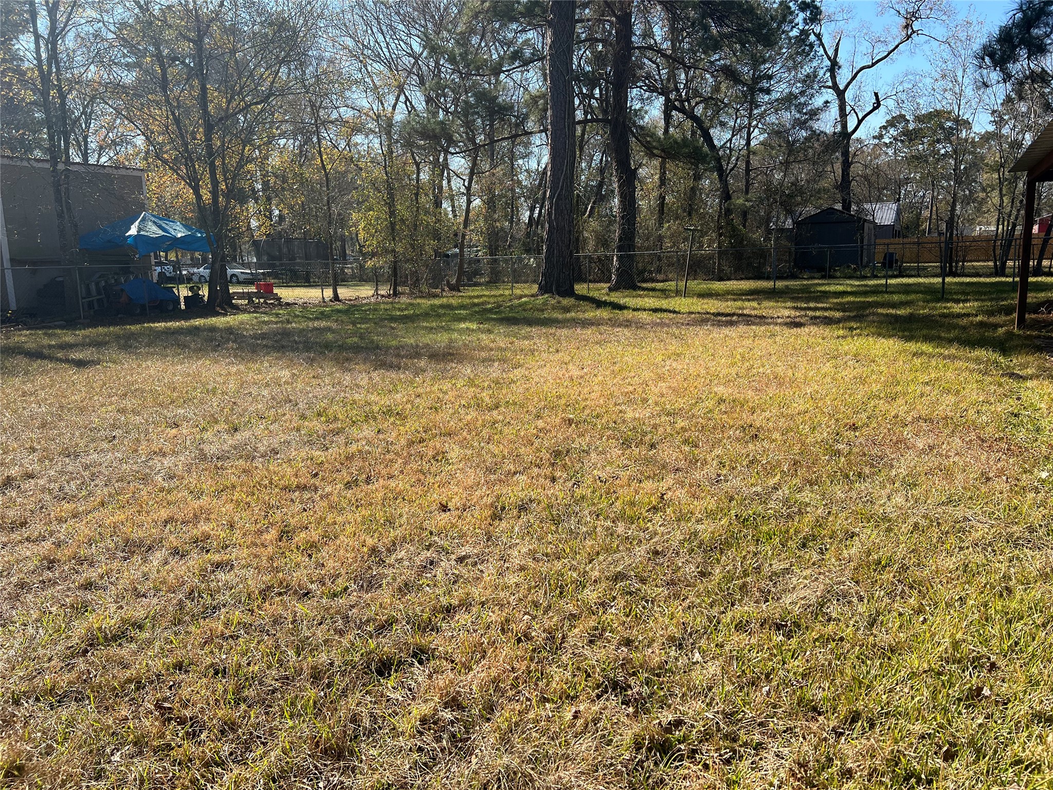 22980 Jade Street Porter, TX 77365 - Photo 24 of 32 a view of outdoor space with trees