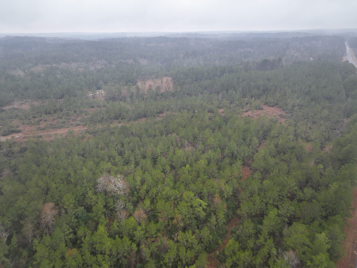 2 Rec Road 255 Colmesneil, TX 75938 - Photo 16 of 19