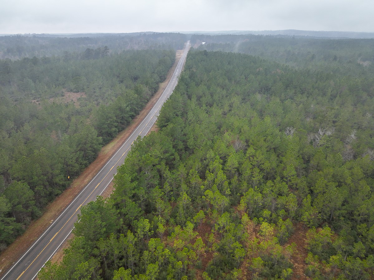 2 Rec Road 255 Colmesneil, TX 75938 - Photo 18 of 19 a view of a forest with a forest