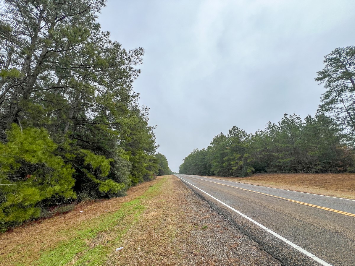 2 Rec Road 255 Colmesneil, TX 75938 - Photo 10 of 19 a view of a road with a trees in the background