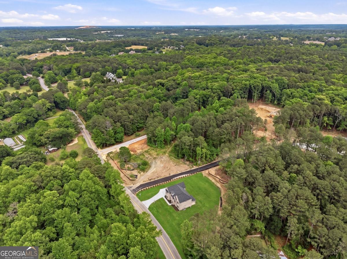 1557 Whitley Road Dacula, GA 30019 - Photo 45 of 46 an aerial view of residential houses with outdoor space and trees