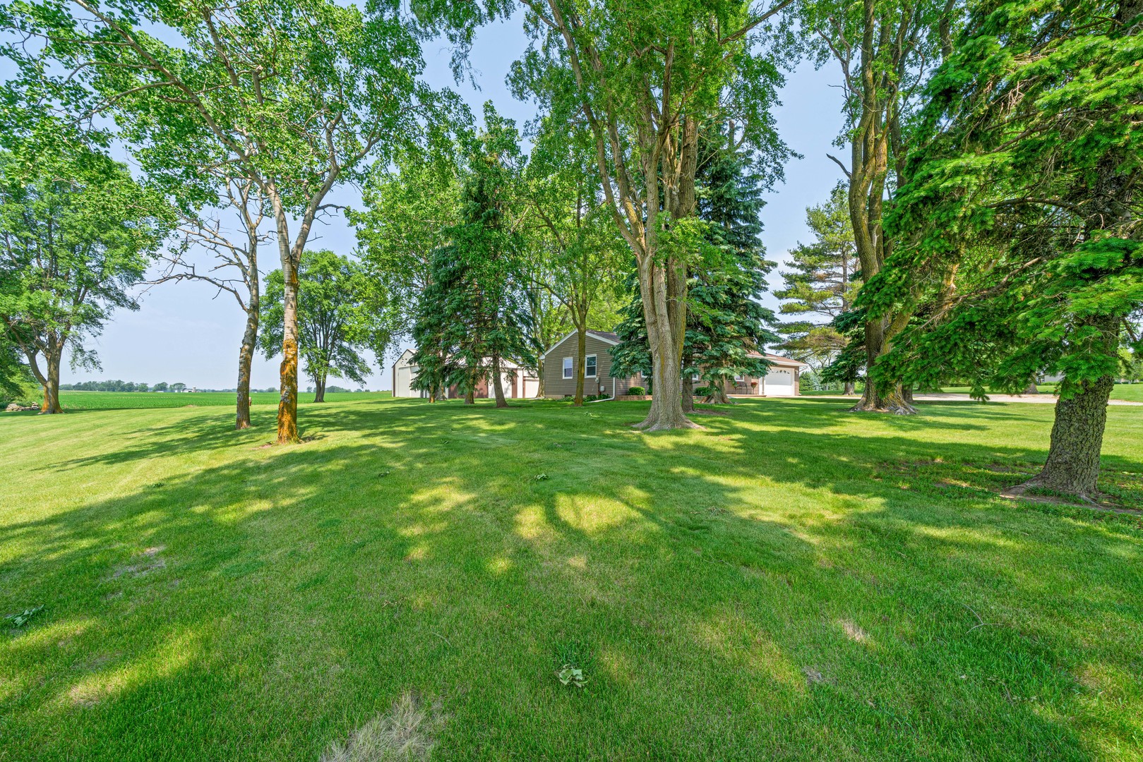 14893 Plank Road Sycamore, IL 60178 - Photo 10 of 33 a view of a trees in a park
