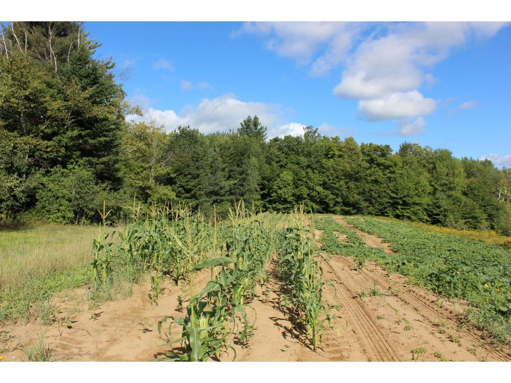 3640 Simonsville Road Andover, VT 05143 - Photo 19 of 22