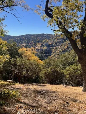 a view of a yard with wooden fence