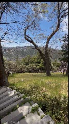 a view of a yard with an outdoor space