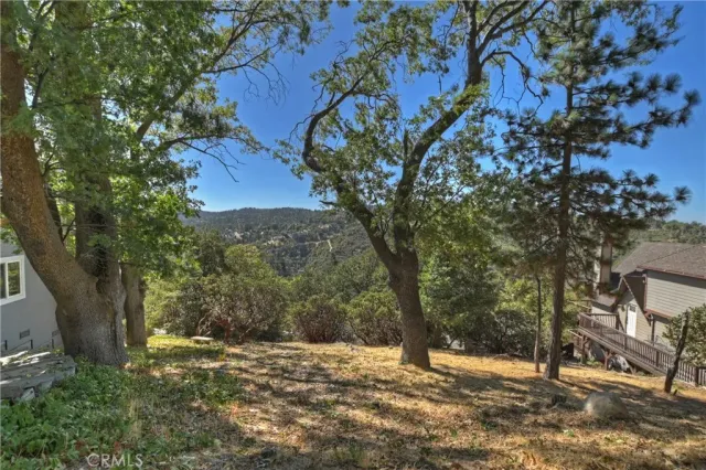 a view of a yard with a tree