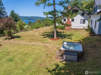 a view of a tree with a plant in front of it