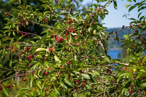 a view of a lake in middle of a house