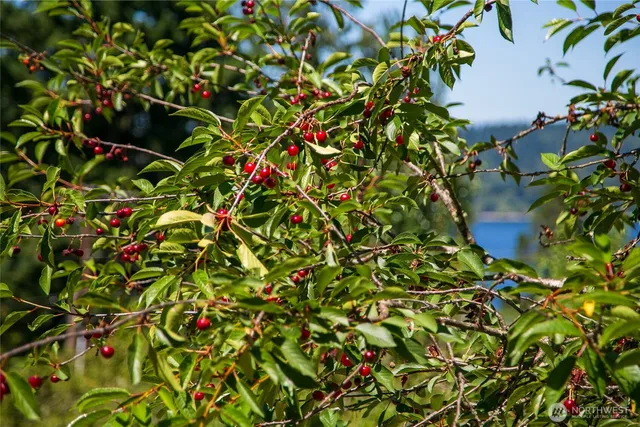 a view of a lake in middle of a house