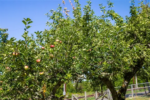 $1,385,000 | 16832 McIntyre Road Southwest, Vashon, WA 98070