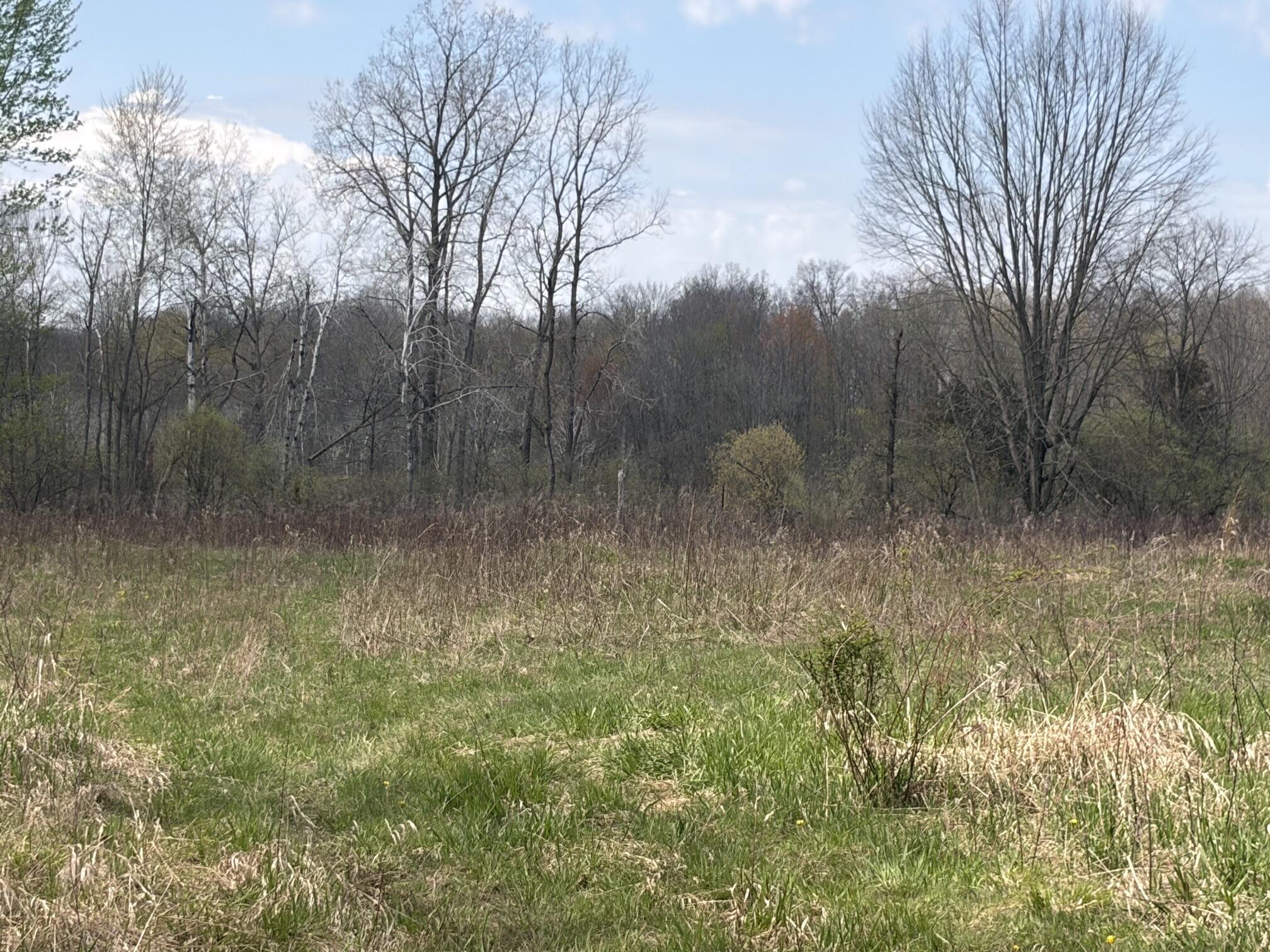 0 Wheeler Road Homer, MI 49245 - Photo 20 of 38 IMG_7881