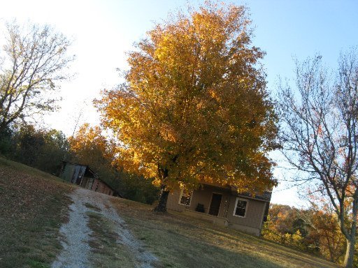 10109 Rutledge Pike Corryton, TN 37721 - Photo 1 of 1 Primary Photo