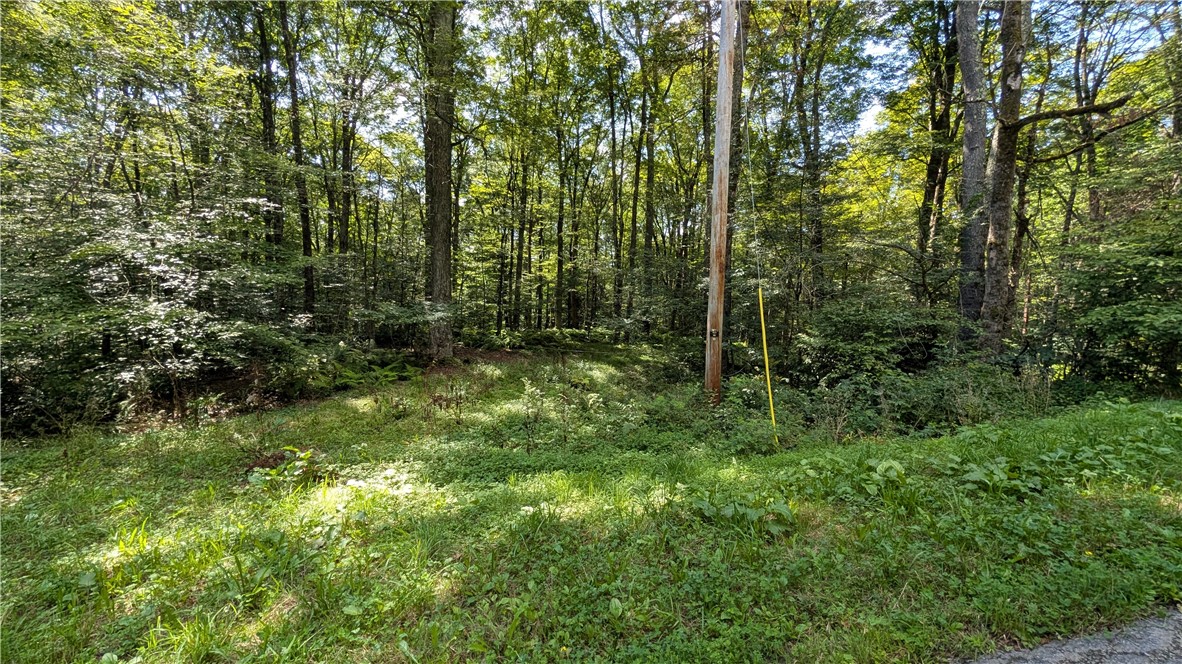 1245 Quaker Hill Road Jefferson, NY 12093 - Photo 4 of 41 Gallery Image 4