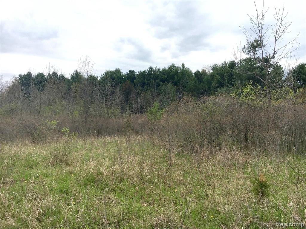 5600 Preston Road Howell, MI 48855 - Photo 2 of 16