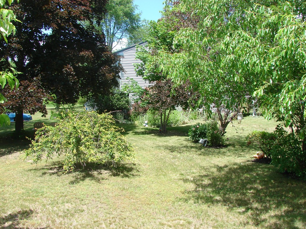 64 Temi Road Bellingham, MA 02019 - Photo 4 of 20 Gallery Image 4
