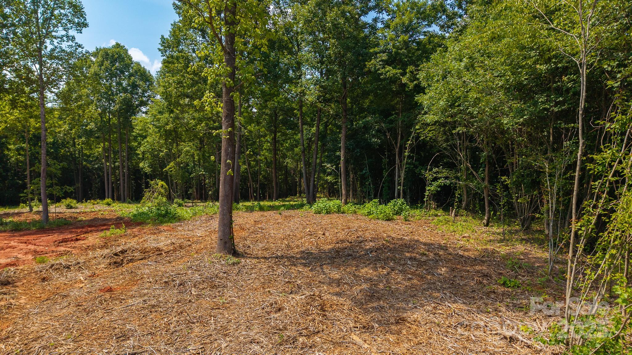 1853 Hill River Road, Unit 12 Hiddenite, NC 28636 - Photo 6 of 29