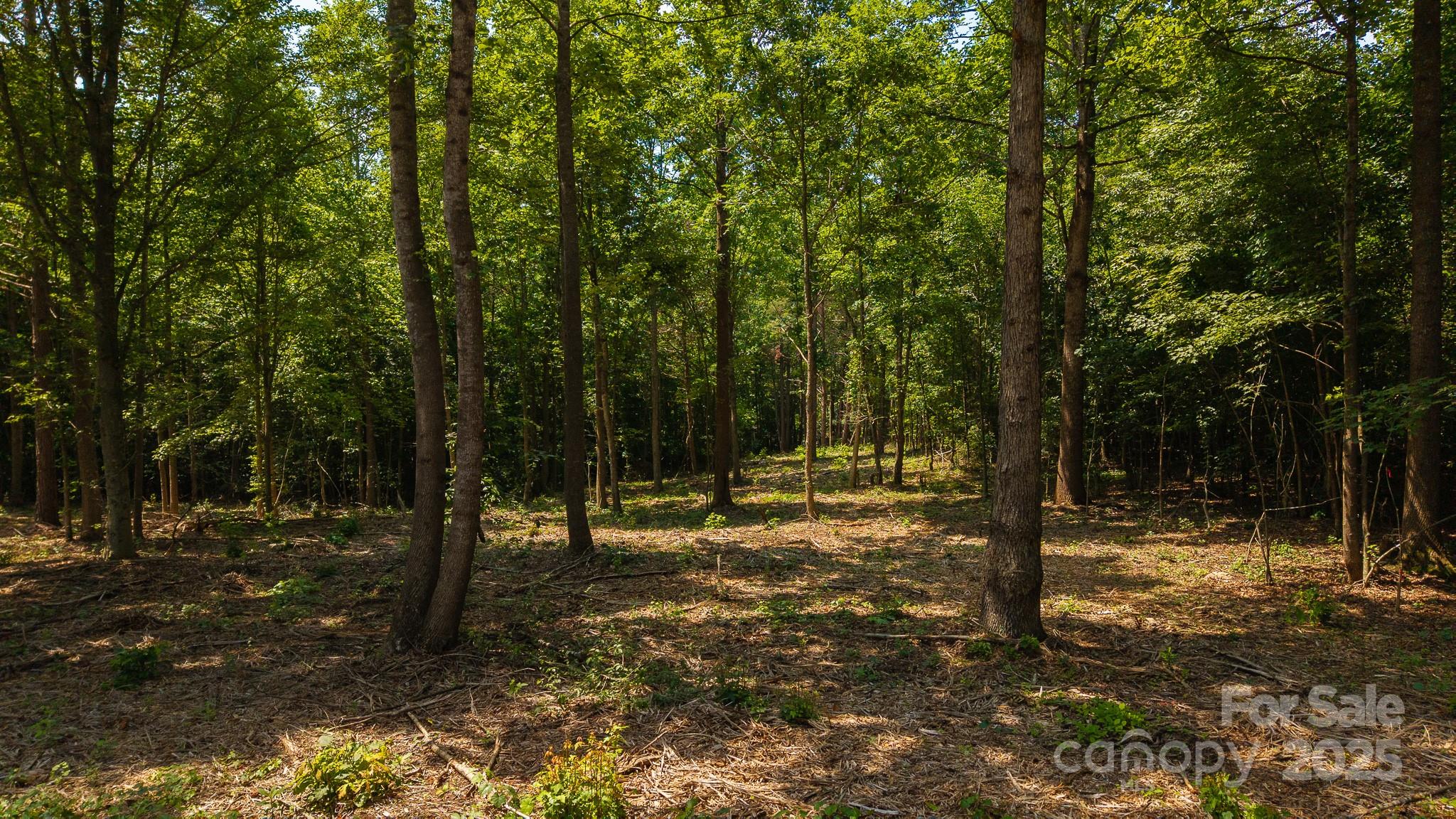 1853 Hill River Road, Unit 12 Hiddenite, NC 28636 - Photo 7 of 29