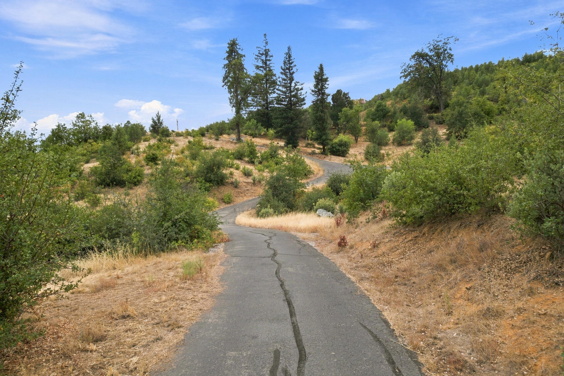 15691 Old Stage Coach Road Redding, CA 96001 - Photo 22 of 41 Driveway