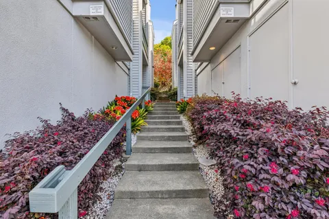 a view of a house with flower plants