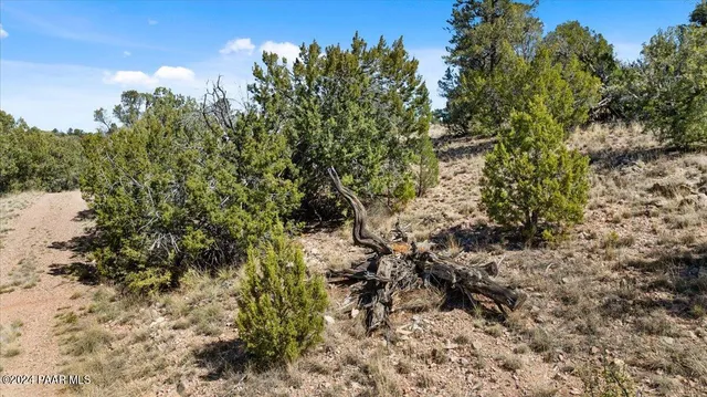 a view of city and a lake