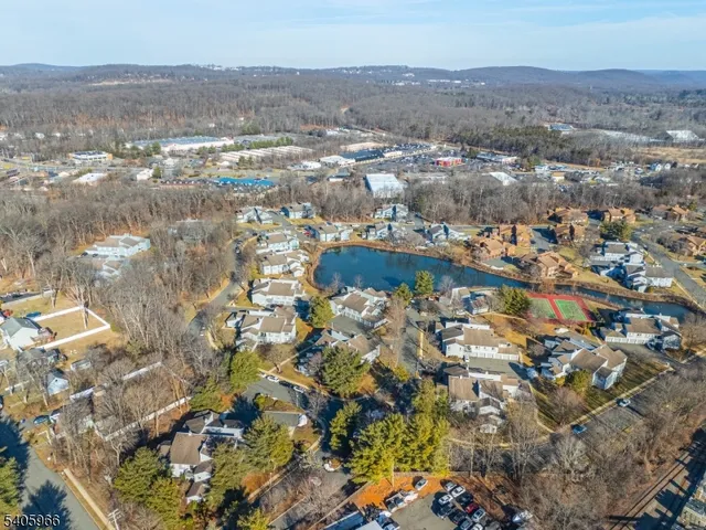 a view of banana tree
